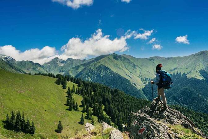 自驾苏州西山，赏尽山水园林之美