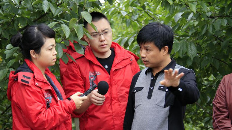 谁来种树，谁来植树？谁来管理赤峰？变土地为绿色，吸引投资，增加绿色，增